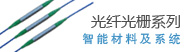 光纤光栅产品系列